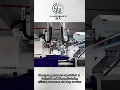 Longueur câbles d'alimentation personnalisés PVC isolé 250V avec conducteur de cuivre