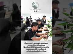 Longueur câbles d'alimentation personnalisés PVC isolé 250V avec conducteur de cuivre